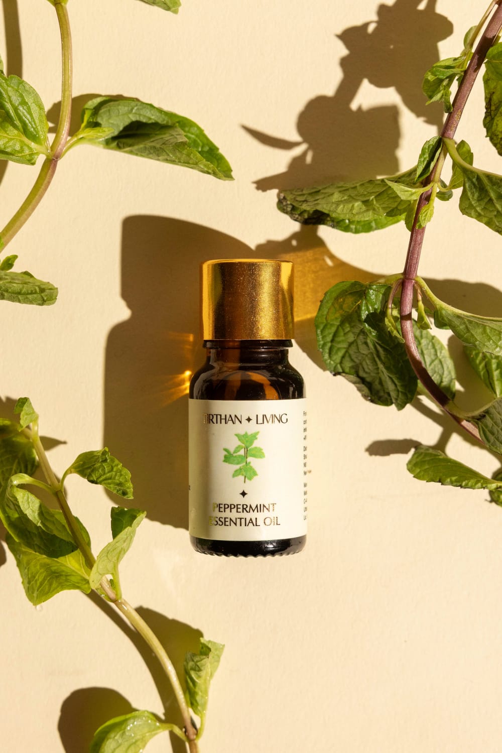 Aromatherapy Starter Trio